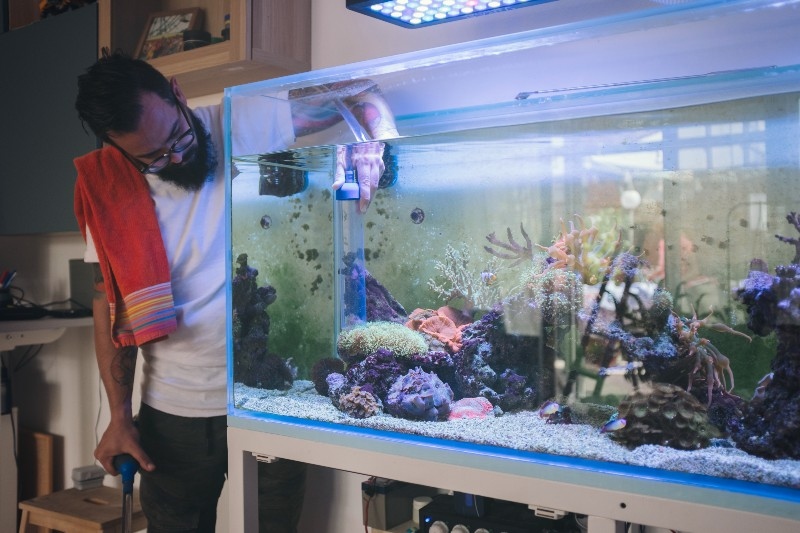 How to Move a Fish Tank in Austin, TX